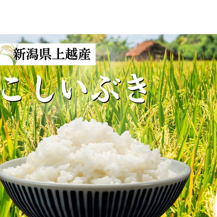  ߘa6NY V zYuԂv  5kg   ӂ邳Ɣ[ V VY ɂ zVzs9000āEp