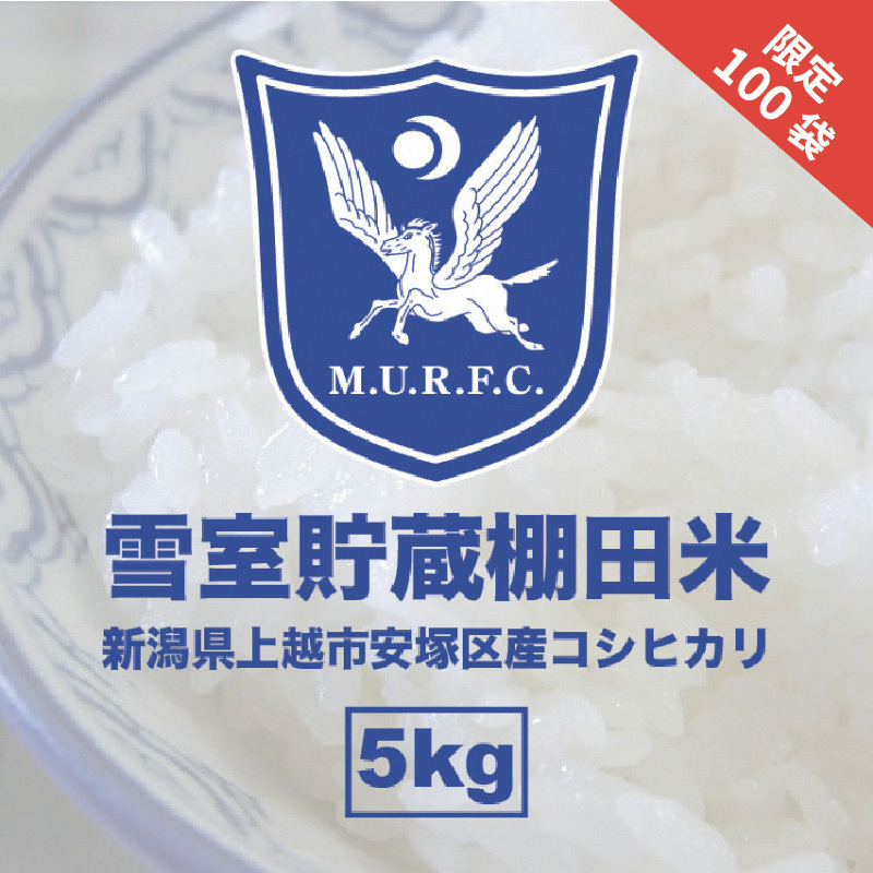 令和7年 新潟県産 コシヒカリ 雪むろ 棚田米 5kg 5キロ 白米 新米 明治大学ラグビー部 安塚 雪室 こめ 新潟 上越 上越市新潟県上越市33000米・パン白米