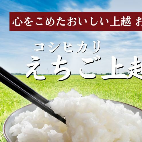 令和6年 新米 新潟県産コシヒカリ えちご上越米 定期便 【6ヶ月連続お届け】5kg×6回 30kg 新潟 米 新潟県 こしひかり 限定 おすすめ 定期便 お届け:寄附の入金の翌月より計6回、毎月中旬