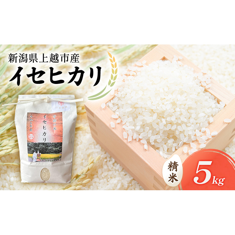 【10月中旬より順次出荷】令和7年度産 新潟県上越市産 奇跡のお米 イセヒカリ 5kg 米 お米 いせひかり ご飯 精米 新潟 上越新潟県上越市24000米・パン白米