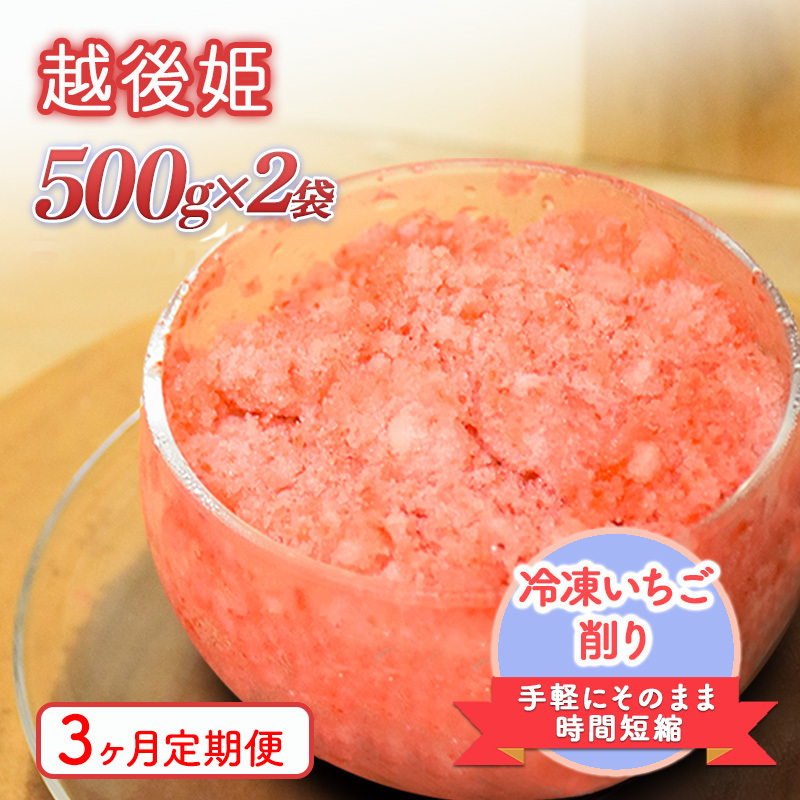 削りいちこ゛越後姫500g×2袋 3ヶ月定期便 冷凍 イチゴ 苺 果物 フルーツ 新潟新潟県上越市23000果物・フルーツいちご