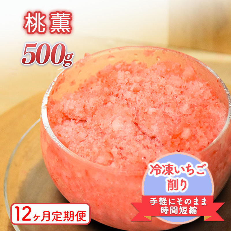 削りいちこ゛桃薫500g 12ヶ月定期便 冷凍 イチゴ 苺 果物 フルーツ 新潟新潟県上越市46000果物・フルーツいちご