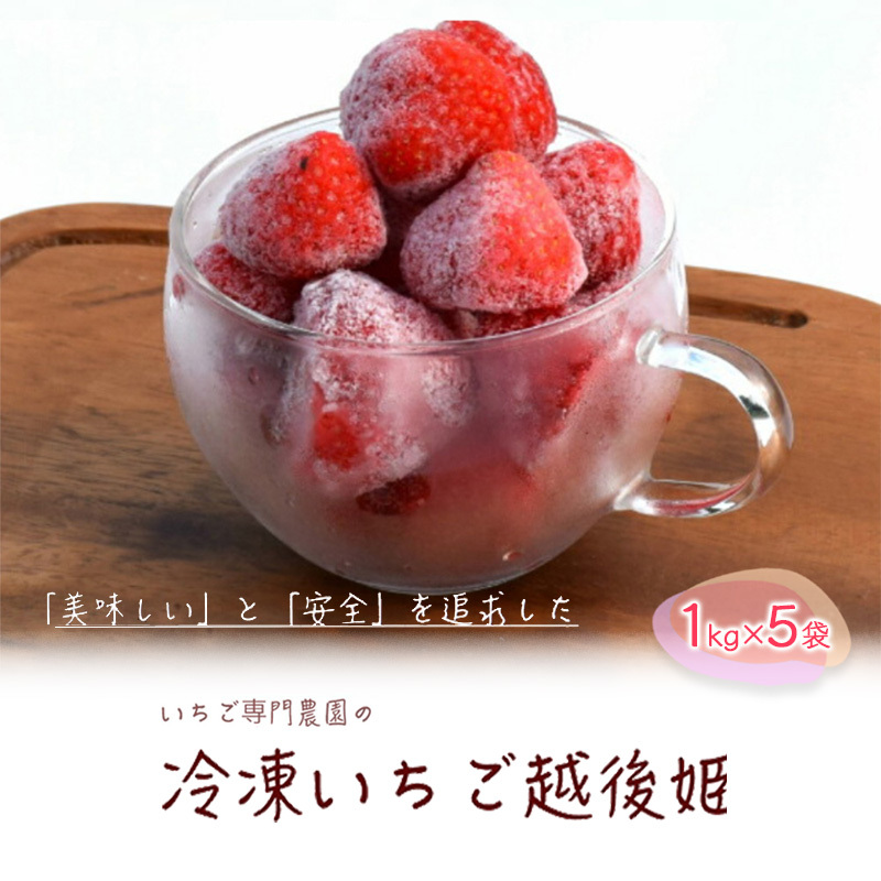 冷凍いちご 越後姫1kg×5袋 冷凍 イチゴ 苺 果物 フルーツ 新潟新潟県上越市47000果物・フルーツいちご