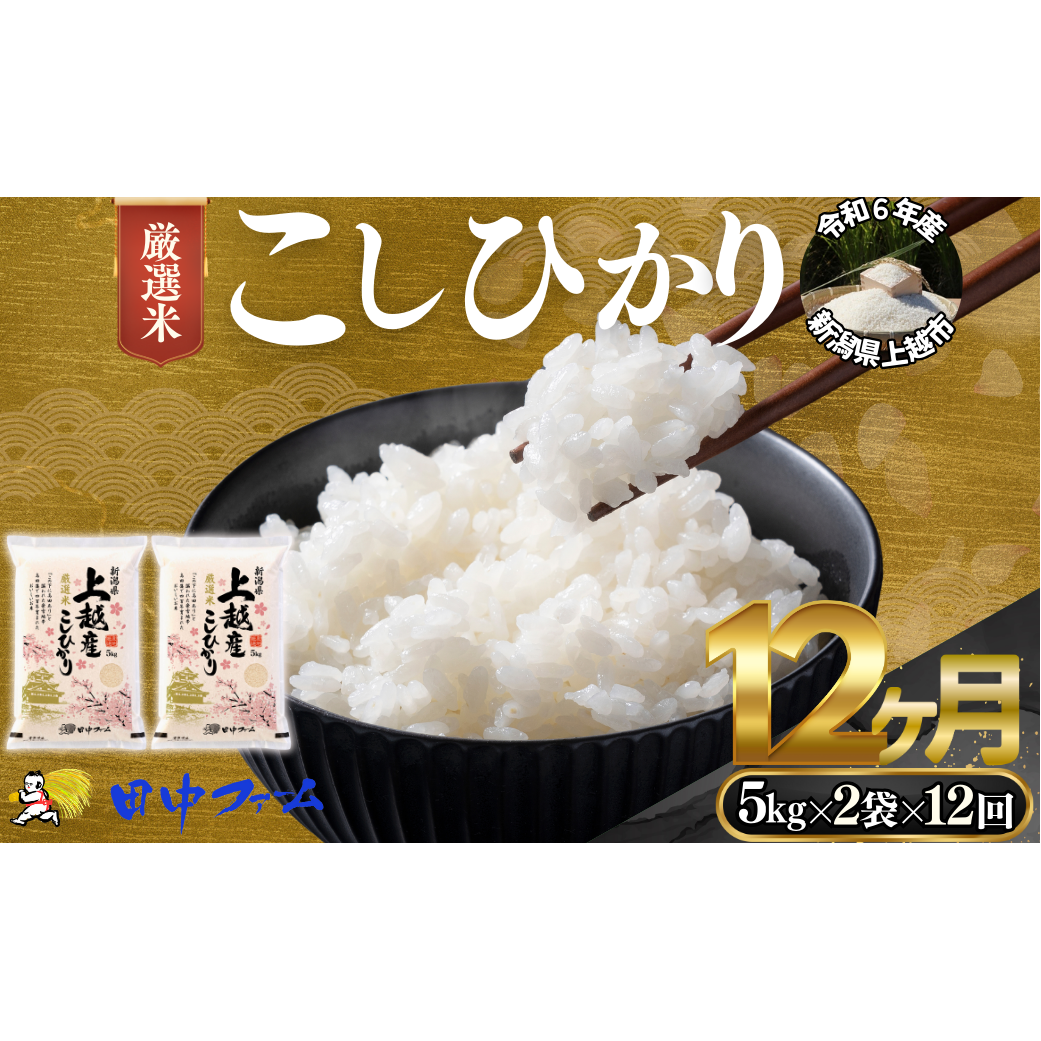 上越市産 新潟 特別米コシヒカリ 5kg×2 12か月定期便  上越市 精米 米 コメ こしひかり ブランド米新潟県上越市294000米・パン白米