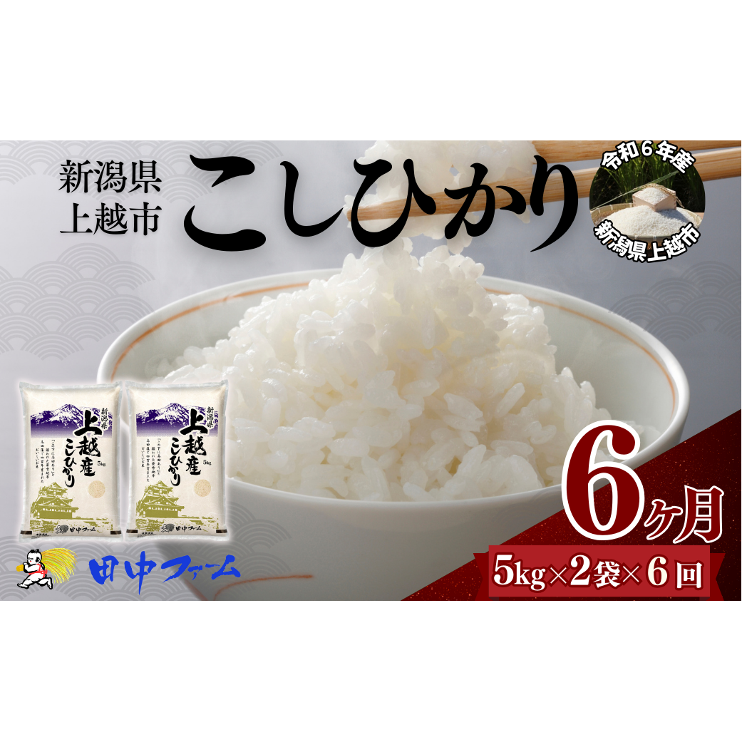 上越市産 新潟 コシヒカリ 5kg×2 6か月定期便  上越市 精米 米 コメ こしひかり ブランド米新潟県上越市121000米・パン白米