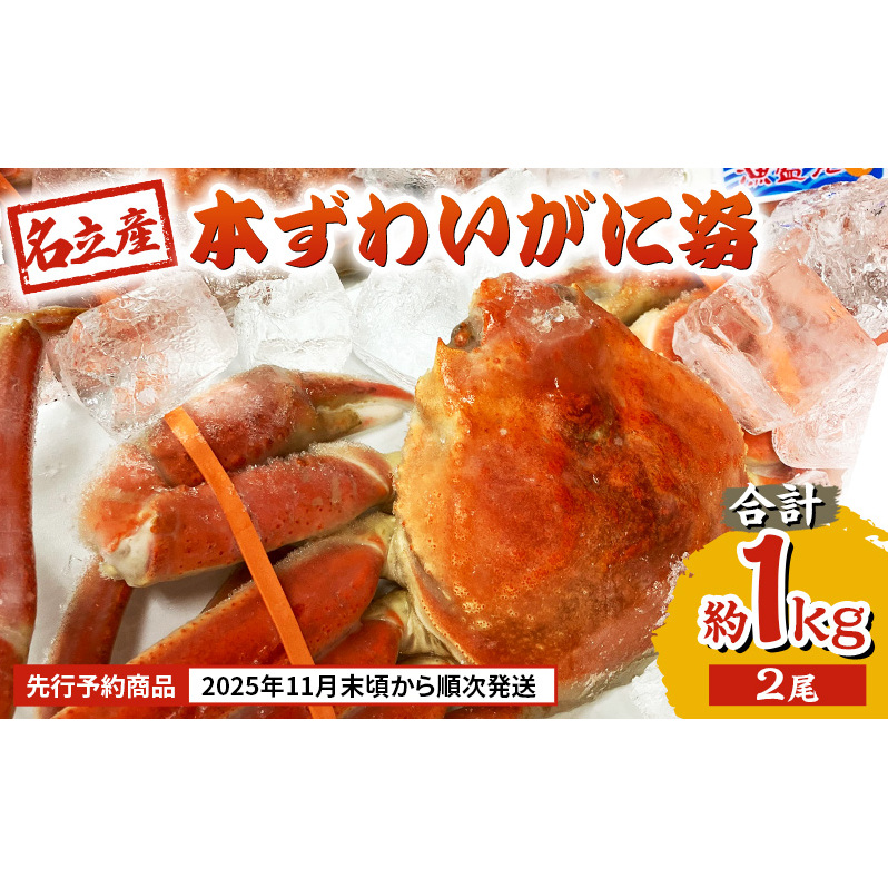 【先行予約商品 2025年11月末頃から順次発送します】名立産 本ずわいがに姿 2尾 合計約1.0kg 新潟 上越 ズワイガニ 冷凍カニ 海産物新潟県上越市30000魚介・海産物カニ