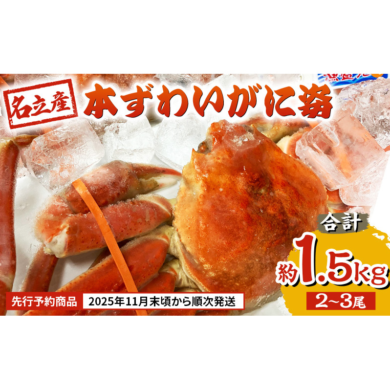 【先行予約商品 2025年11月末頃から順次発送します】名立産 本ずわいがに姿 2〜3尾 合計約1.5kg 新潟 上越 ズワイガニ 冷凍カニ 海産物新潟県上越市45000魚介・海産物カニ