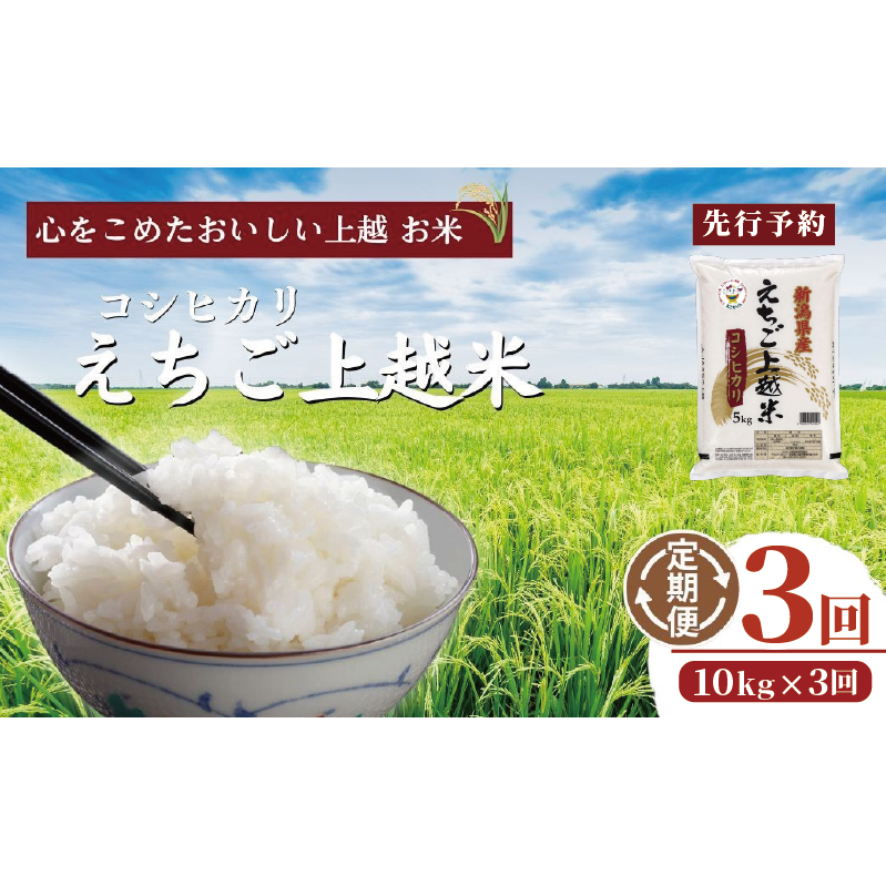 令和7年 新米 新潟県産コシヒカリ えちご上越米 定期便 【3ヶ月連続お届け】10kg×3回 30kg 新潟 米 新潟県 こしひかり 限定 おすすめ新潟県上越市102000米・パン白米