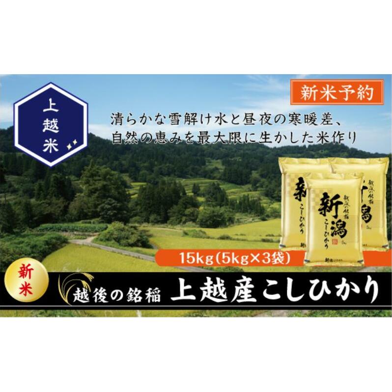 令和7年産 新潟県上越産こしひかり 精米 15kg 上越市 米 コメ コシヒカリ新潟県上越市45000米・パン白米