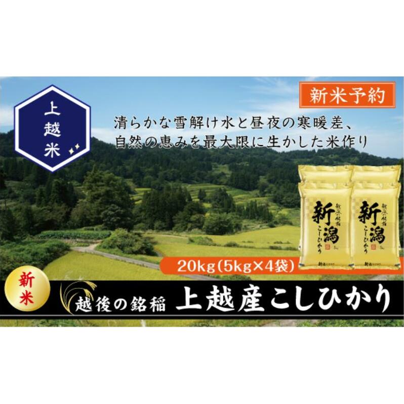 令和7年産 新潟県上越産こしひかり 精米 20kg 上越市 米 コメ コシヒカリ新潟県上越市60000米・パン白米