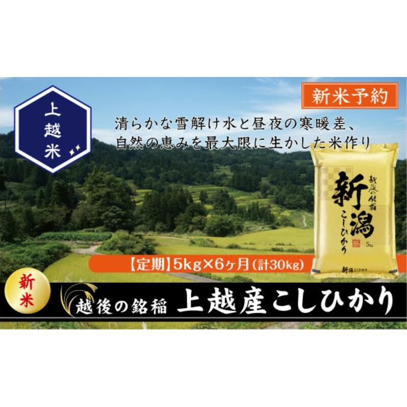 令和7年産 新潟県上越産こしひかり 精米 5kg 6か月定期便 上越市 米 コメ コシヒカリ新潟県上越市90000米・パン白米
