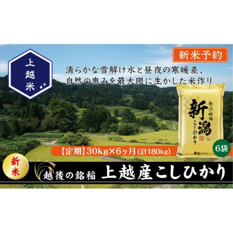 令和7年産 先行予約 新潟県上越産こしひかり 精米 30kg 6か月