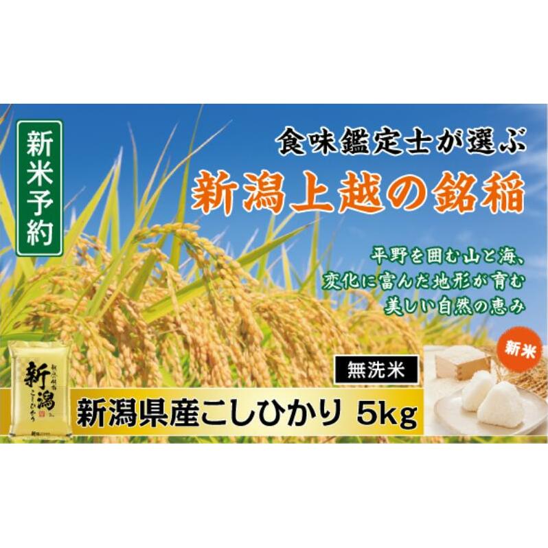令和7年産 食味鑑定士厳選 新潟県産こしひかり 無洗米 5kg 上越市 米 コメ コシヒカリ新潟県上越市16000米・パン白米