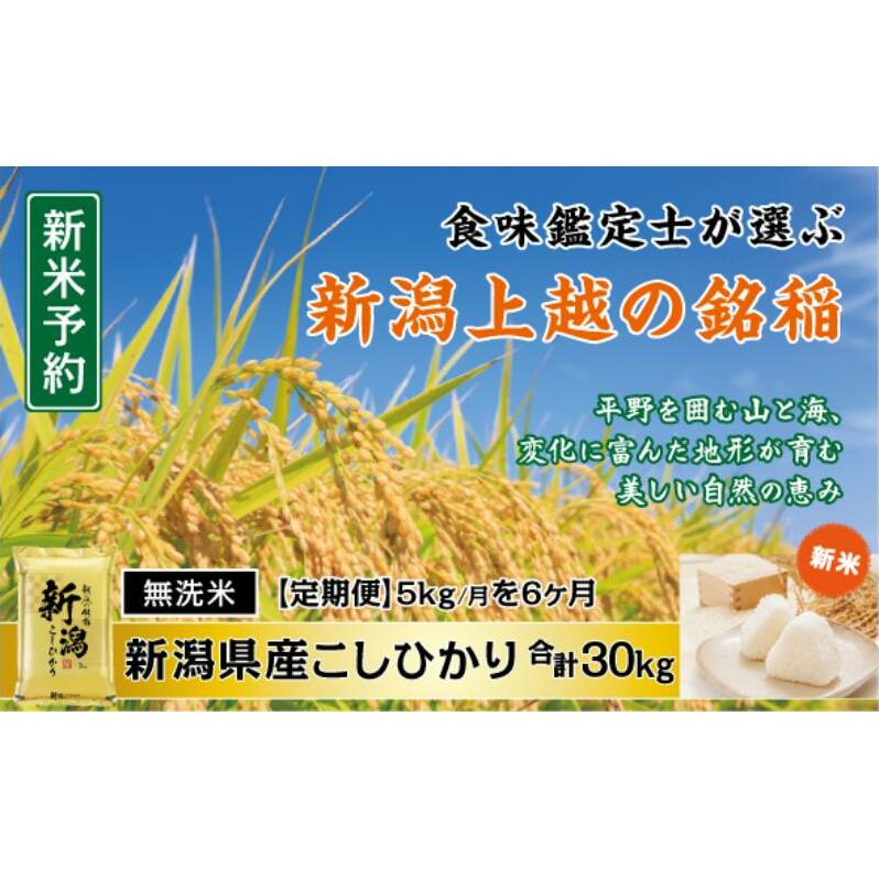 令和7年産 食味鑑定士厳選 新潟県産こしひかり 無洗米 5kg 6か月定期便 上越市 米 コメ コシヒカリ新潟県上越市95000米・パン白米