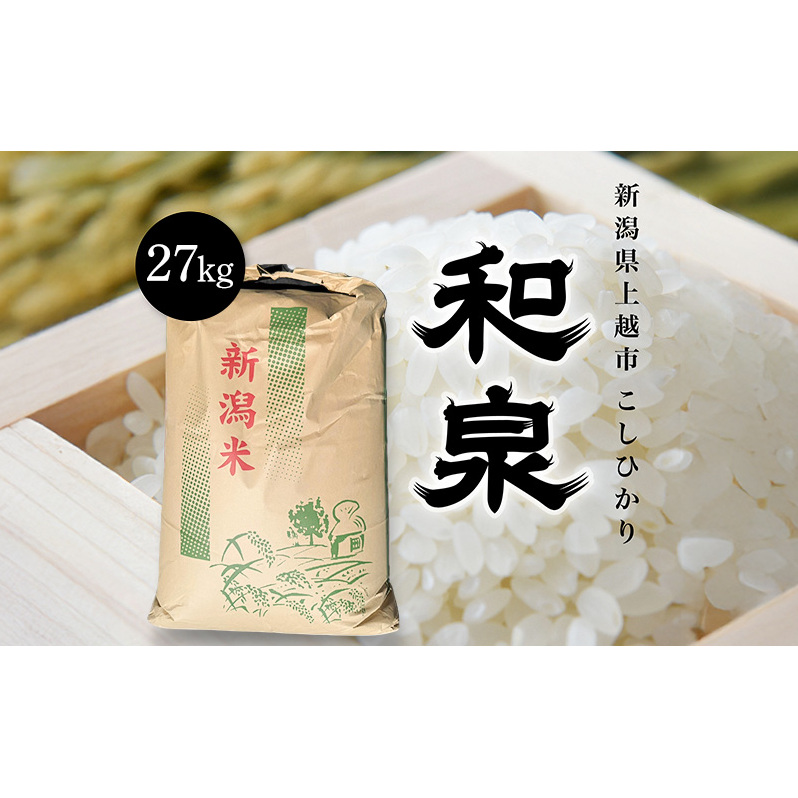 新米 令和7年 新潟県上越産 こしひかり『和泉』27kg 27キロ上越市 精米 米 ギフト 喜ばれる新潟県上越市93000米・パン白米