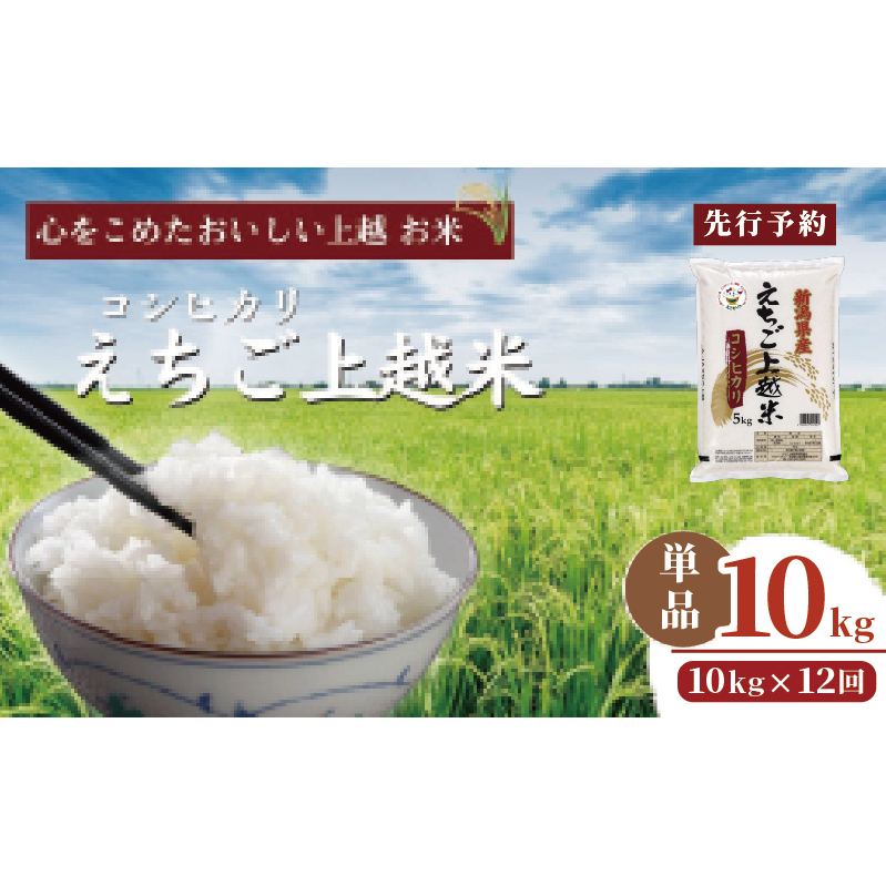 ߘa7N V VYRVqJ zā@ y12A͂z10kg×12 120kg V  V Ђ  ߐVzs408000āEp