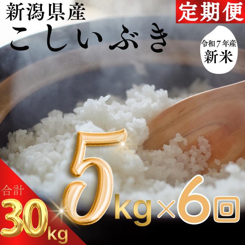 ߘa7N VYԂ 30kg 30Li 5kg×6j  ij ăBbW А    VŐ܂ꂽiŁA悢SƂ₳Ö̂ V