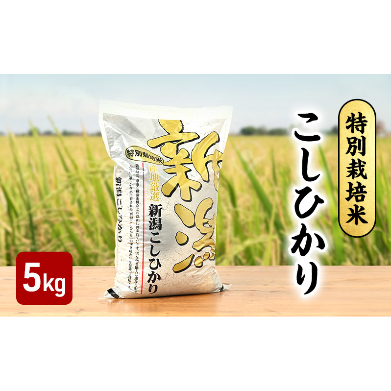 新米予約 令和7年 新潟県産コシヒカリ 特別栽培米 5kg 5キロ 上越市 三和区神田 富永農産 有機肥料、自家製たい肥を使用し米つくり 新潟県上越市19000米・パン白米