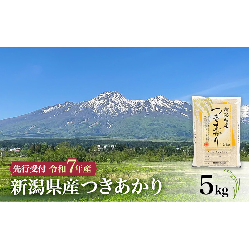 【令和7年産 つきあかり】10月中旬より順次発送 新潟県産つきあかり 5kg 上越市 米 こめ コメ お取り寄せ新潟県上越市24000米・パン白米