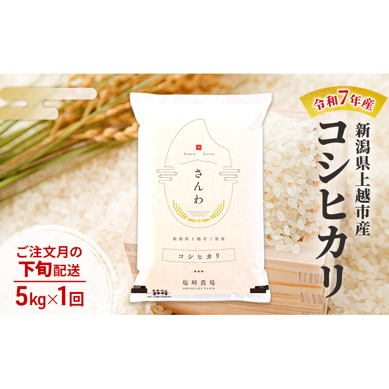 令和7年産 新潟県 上越市産 コシヒカリ5kg 白米 ※ご注文月の下旬配送新潟県上越市15000米・パン白米