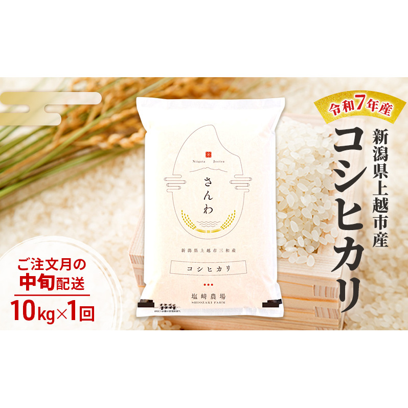 令和7年産 新潟県 上越市産 コシヒカリ10kg 白米 ※ご注文月の中旬配送新潟県上越市30000米・パン白米