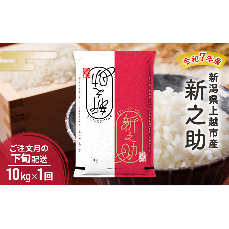 令和7年産 新潟県 上越市産 新之助10kg 白米 ※ご注文月の下旬配送新潟県上越市32000米・パン白米