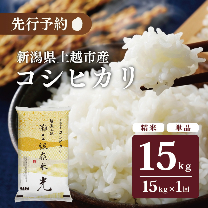 ߘa7NY VzsY RVqJ Ic u嗧 v 15kg zs   R uhĐVzs45000āEp