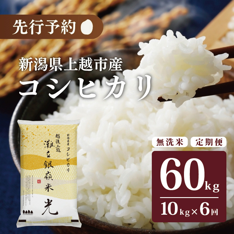 ߘa7NY HӒmIߘa7NY VzsY RVqJ Ic u嗧 v  10kg 6 zs   R uhĐVzs204000āEp