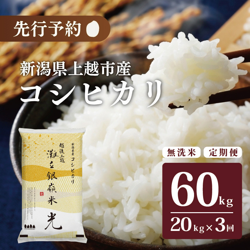 ߘa7NY HӒmIߘa7NY VzsY RVqJ Ic u嗧 v  20kg 3 zs   R uhĐVzs204000āEp