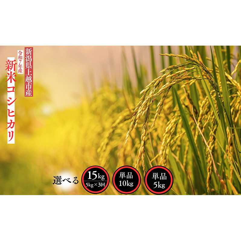 yӂ邳Ɣ[ŁzV ߘa7NY V zsY RVqJ 5kg 5L  10{菇o   ĐVzs17000āEp