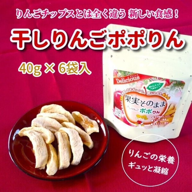 񂲃||@40g × 6ܓ茧֎s10500َqEXC[c̑ mَq