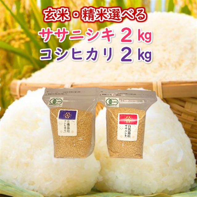 白米着色米20キロ(包材含) 白米 豊穣 もったい米 24kg 最短当日発送 10kg×2+4kg HJ4