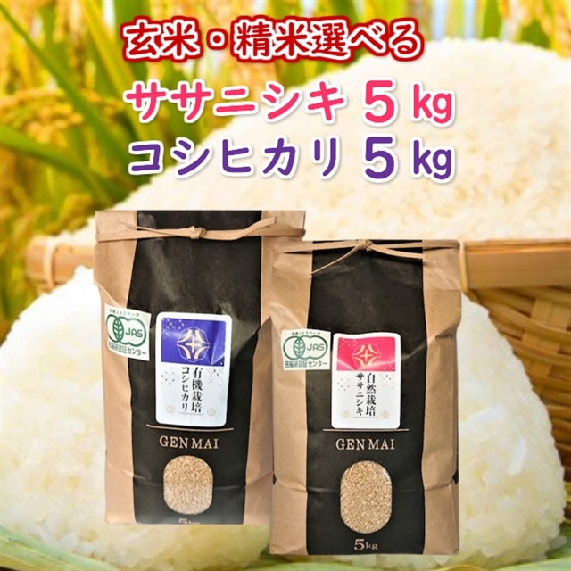 s VĐs\ tߘa7NY V L@͔| RVqJ 5kg R͔| TTjVL 5kg Zbg yāz茧֎s38500āEpāEGāEāE