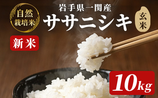 《 新米先行予約 》令和7年産 新米 自然栽培米 ササニシキ 10kg 【玄米】岩手県一関市42000米・パン玄米・雑穀米・もち米・餅