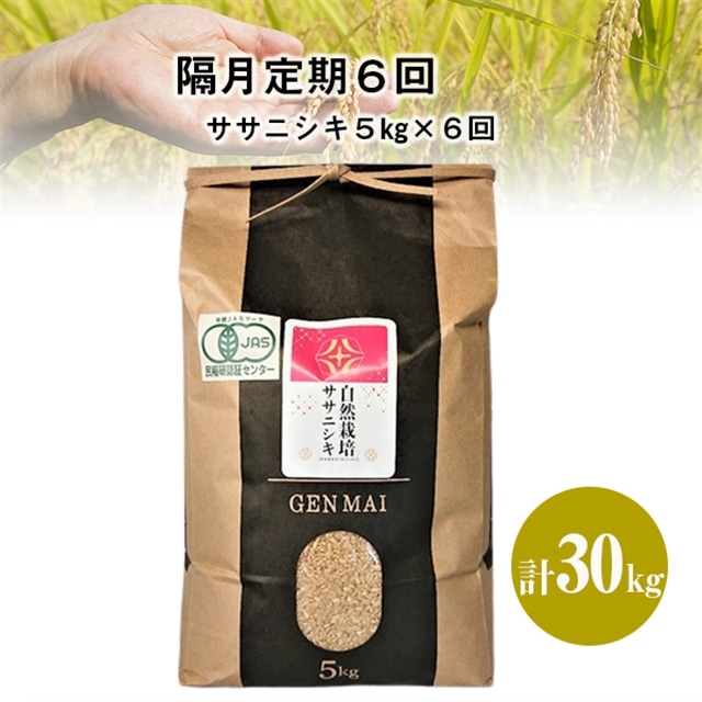 《 新米先行予約 》【隔月定期6回】令和7年産 新米 自然栽培米 ササニシキ 5kg 【精米】岩手県一関市131000米・パン玄米・雑穀米・もち米・餅