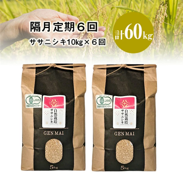 s VĐs\ tyu6zߘa7NY V R͔| TTjVL 10kg yāz茧֎s250500āEpāEGāEāE