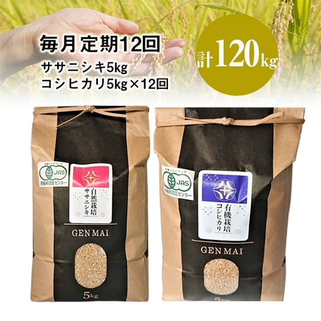 s VĐs\ ty12zߘa7NY V L@͔| RVqJ 5kg R͔| TTjVL 5kg yāz茧֎s462000āEpāEGāEāE