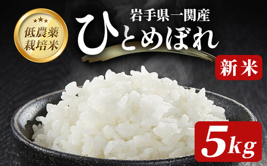 《 新米先行予約 》令和7年産 新米 低農薬栽培米 ひとめぼれ 5kg 【精米】岩手県一関市13500米・パン玄米・雑穀米・もち米・餅