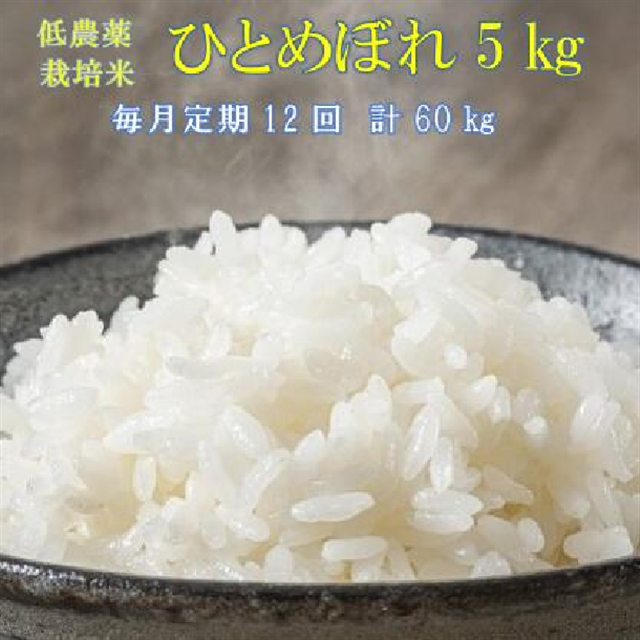 s VĐs\ ty12zߘa7NY V _͔| ЂƂ߂ڂ 5kg yāz茧֎s161000āEp