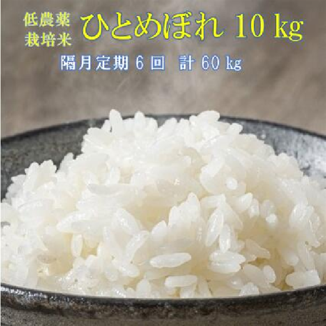 s VĐs\ tyu6zߘa7NY V _͔| ЂƂ߂ڂ 10kg yāz茧֎s150000āEp