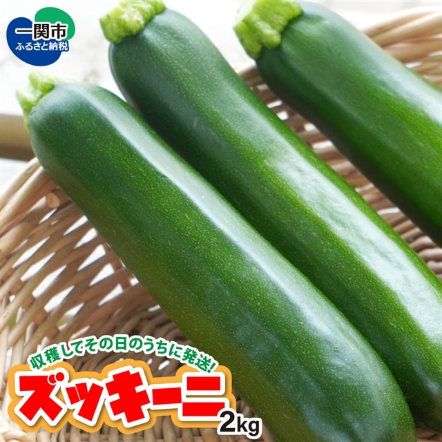 ズッキーニ 2kg 収穫してその日のうちに発送!岩手県一関市12500野菜・きのこ