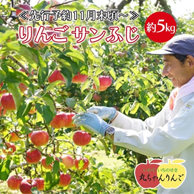 《先行予約11月末頃〜順次発送》家庭用 りんご サンふじ 約5kg岩手県一関市14000果物・フルーツりんご・梨