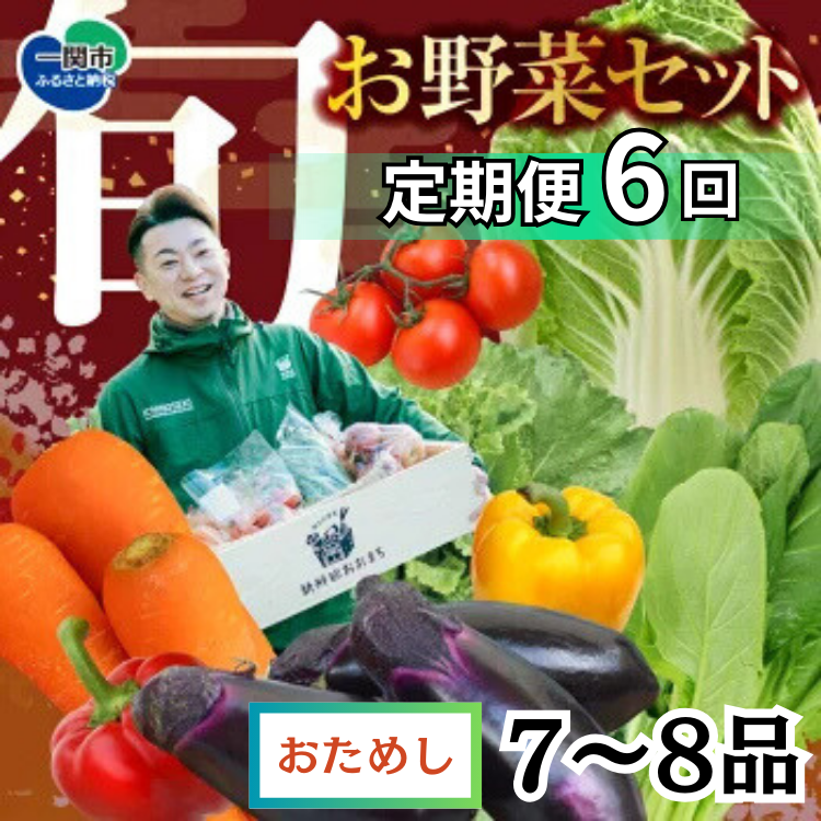 【定期便/6か月】注文が来てから収穫発送!収穫したばかりの新鮮野菜セット お試しコース 《7〜8品》岩手県一関市45000野菜・きのこ