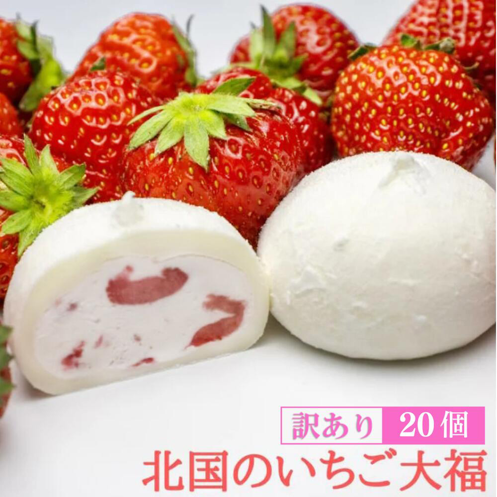 󂠂 k 啟 40g×20 N[ ӂ邳Ɣ[ 啟  Y 啟 ACX َq Mtg  aَq  Ⓚ lߍ킹 t[c啟 XC[c lC i 