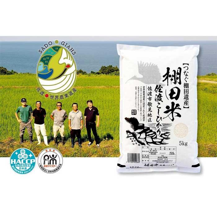米 コシヒカリ 佐渡産 ( 5kg ) 棚田米 佐渡市歌見地区新潟県佐渡市13000米・パン白米
