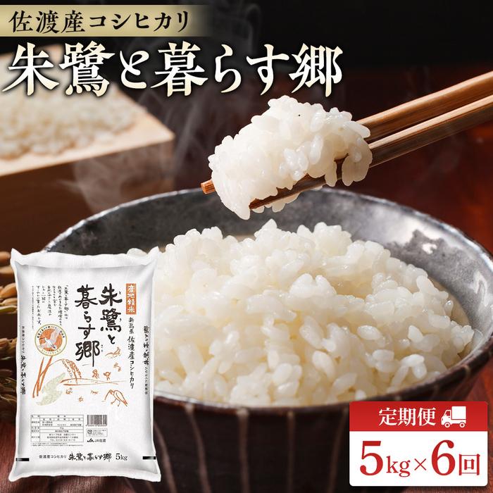 佐渡産コシヒカリ 5kg | 諸長オンラインショップ