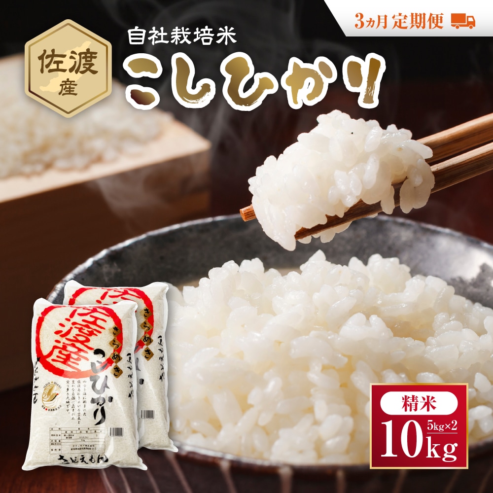 自社栽培米佐渡産こしひかり(精米10kg)3カ月定期便新潟県佐渡市105000米・パン白米