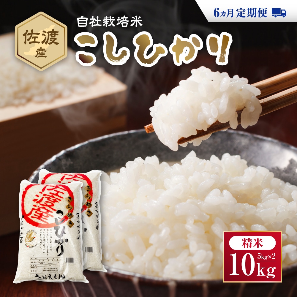 自社栽培米佐渡産こしひかり(精米10kg)6カ月定期便新潟県佐渡市209000米・パン白米