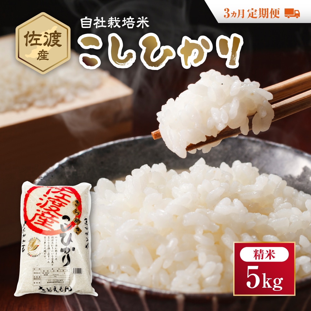自社栽培米佐渡産こしひかり(精米5kg)3カ月定期便新潟県佐渡市53000米・パン白米