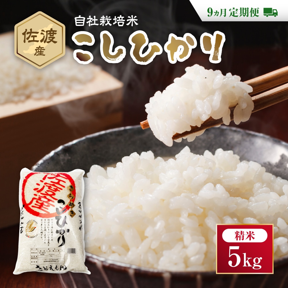 自社栽培米佐渡産こしひかり(精米5kg)9カ月定期便新潟県佐渡市157000米・パン白米